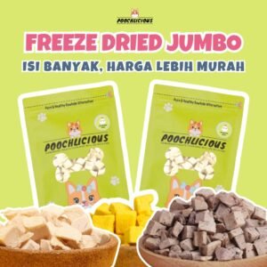 Freeze Dried Kemasan Jumbo