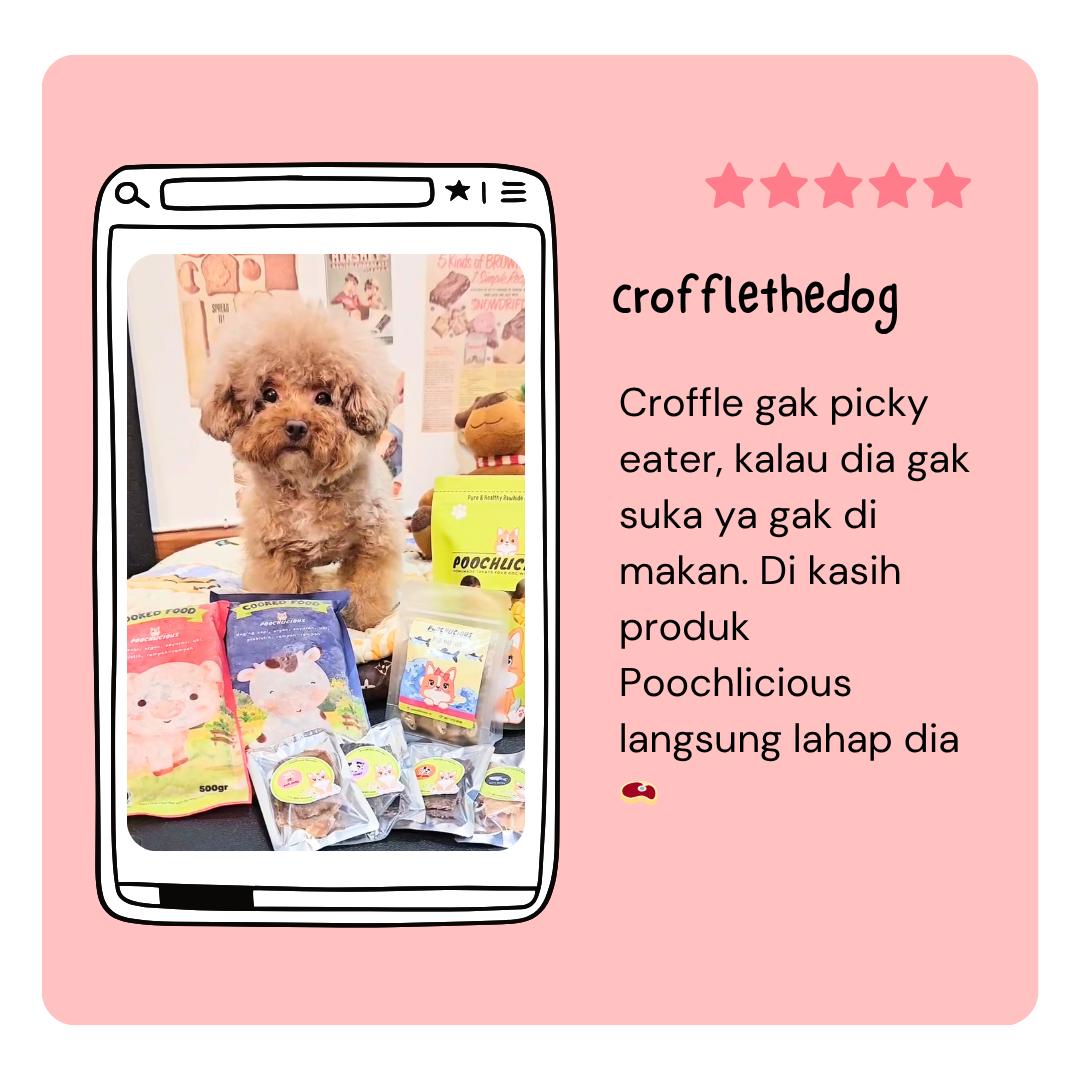 Siapa bilang anabul ga bisa dapet THR juga Bisa dong pake THR BOX (Tunjangan Hewan Rumahan) dari Poochlicious 🎁