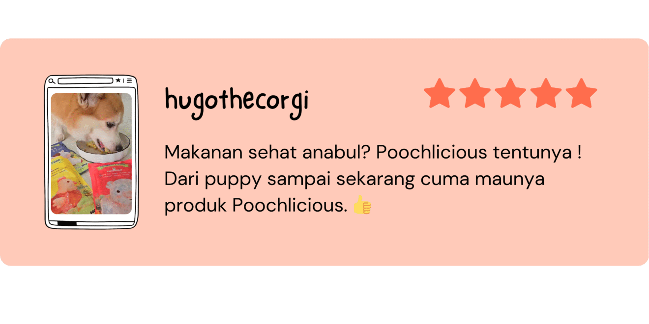 Untitled design (11)