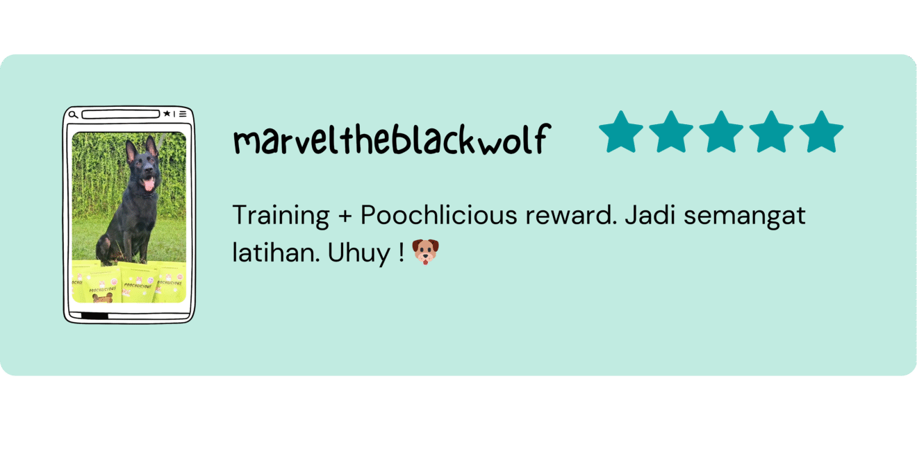 Untitled design (12)