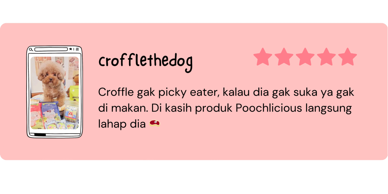 Untitled design (16)