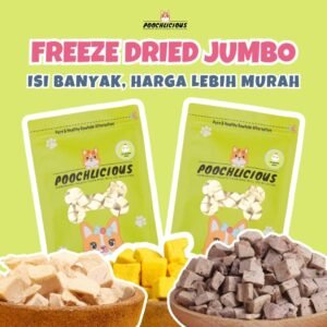 Freeze Dried Kemasan Jumbo
