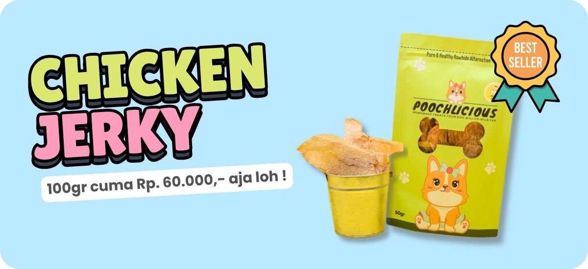 banner web terbaru 2026